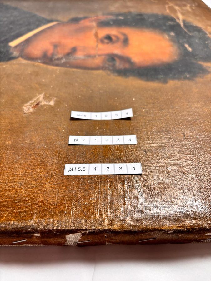 Pruebas de pH durante proceso de conservación
